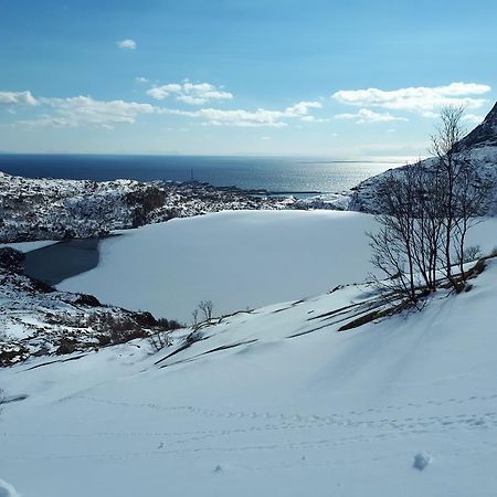 Sjohaug Rorbu Daire Moskenes Dış mekan fotoğraf