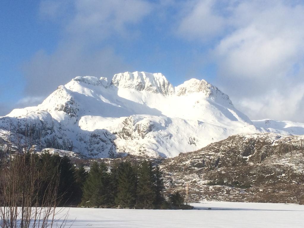 Sjohaug Rorbu Daire Moskenes Dış mekan fotoğraf